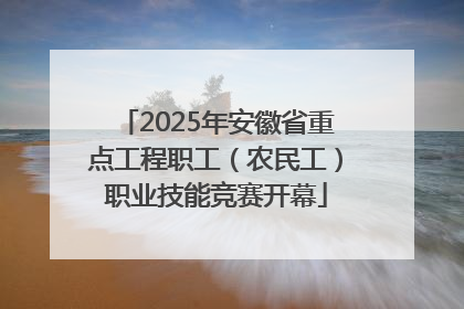 2025年安徽省重点工程职工（农民工）职业技能竞赛开幕