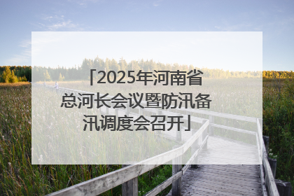 2025年河南省总河长会议暨防汛备汛调度会召开
