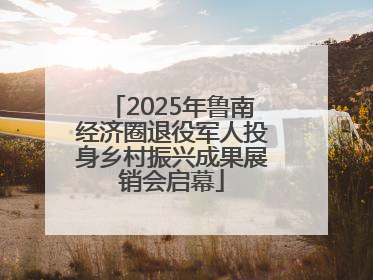 2025年鲁南经济圈退役军人投身乡村振兴成果展销会启幕