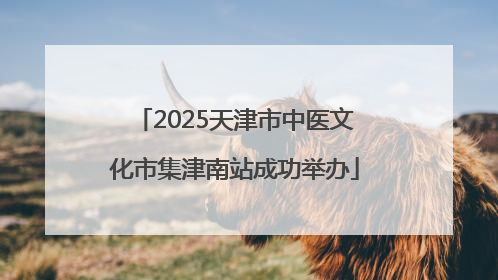2025天津市中医文化市集津南站成功举办