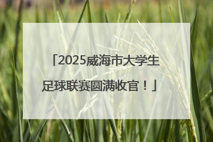 2025威海市大学生足球联赛圆满收官！