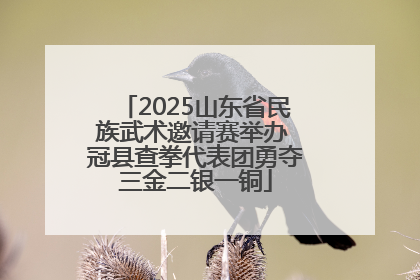 2025山东省民族武术邀请赛举办 冠县查拳代表团勇夺三金二银一铜