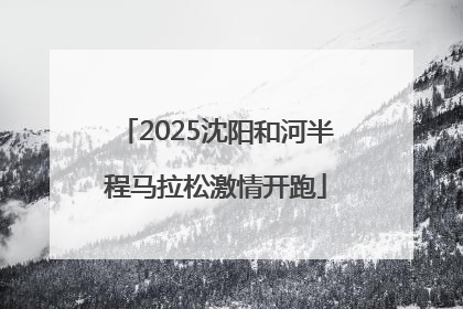2025沈阳和河半程马拉松激情开跑