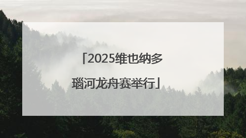 2025维也纳多瑙河龙舟赛举行