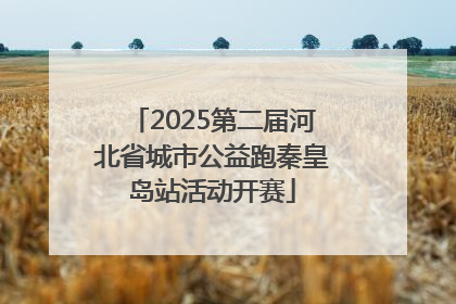 2025第二届河北省城市公益跑秦皇岛站活动开赛