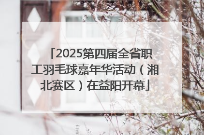 2025第四届全省职工羽毛球嘉年华活动（湘北赛区）在益阳开幕