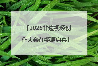 2025非遗视频创作大会在婺源启幕