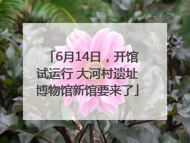 6月14日，开馆试运行 大河村遗址博物馆新馆要来了