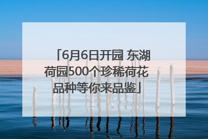 6月6日开园 东湖荷园500个珍稀荷花品种等你来品鉴