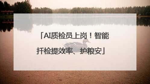 AI质检员上岗！智能扦检提效率、护粮安