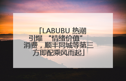 LABUBU 热潮引爆 “情绪价值” 消费，顺丰同城等第三方即配乘风而起