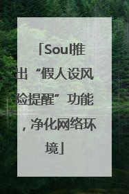 Soul推出“假人设风险提醒”功能，净化网络环境